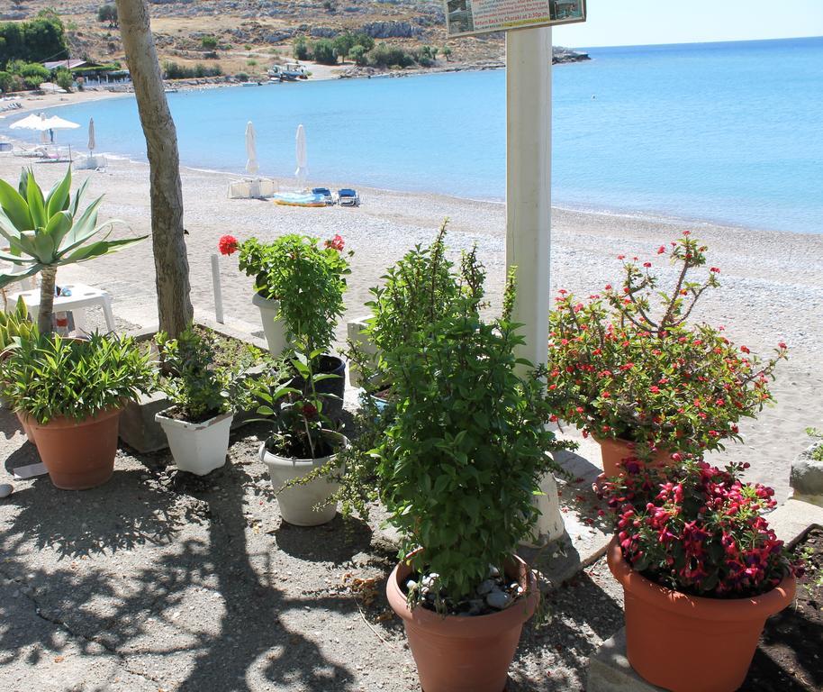 Haraki Aqua Blue Daire Dış mekan fotoğraf