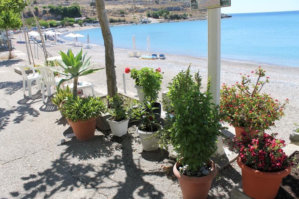 Haraki Aqua Blue Daire Dış mekan fotoğraf